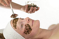 Woman having Kelp (Laminaria sp) applied to her face as part of beauty treatment. July 2015. Model released