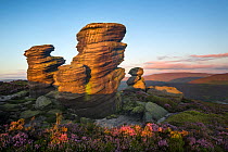 The Crow Stones at sunrise, Peak District National Park, Derbyshire, UK. August 2015.