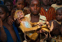 Mozambican children with captive Yellow Baboon youngster (Papio cynocephalus) young animal caught during troop crop raiding. Pemba to Montepuez highway, north-eastern Mozambique, November 2011. Specia...