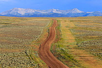Road running through the sagebush steppe land in the Ryegrass BLM (Bureau of Land Management) area towards the Wyoming Mountain Range. Sublette County, Wyoming, USA. July.