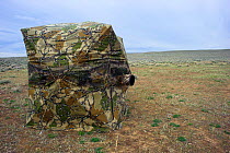 Photography blind / hide  in sage-bush steppe, Freemont County, Wyoming, USA, April.