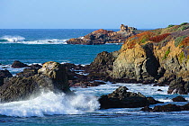 Rocky coast and surf. Piedras Blancas, California, USA. December.