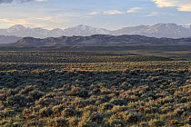 Sagebrush-steppe and the Wind River Range. Sublette County, Wyoming,  USA, June.