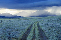 Rain showers over sagebrush-steppe at the foot of the Sawtooth Mountains. Clark County, Idaho, USA, June.