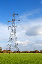 Electricity pylons on farmland near Willaston, Wirral, Cheshire, England, UK, November 2014.