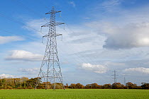 Electricity pylons on farmland near Willaston, Wirral, Cheshire, England, UK, November 2014.