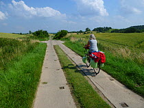 Cyclist riding bike along the 'Saaler Bodden' north-east of Rostock, Germany, June 2013.