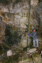 Mist net being set across a cave entrance for bats during an autumn swarming survey run by the Wiltshire Bat Group, near Box, Wiltshire, UK, September. Model released.