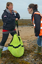British Divers Marine Life Rescue animal medics Michelle Clement and  Rachel Shorland weighing a sick, injured Grey seal pup (Halichoerus grypus) 'Jenga', found washed up on the tide line, in a ventia...