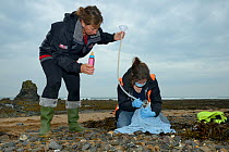 Rachel Shorland and Michelle Clement, British Divers Marine Life Rescue animal medics, giving rehydration fluids to a very weak, injured, Grey seal pup (Halichoerus grypus) 'Jenga', washed up on a bea...