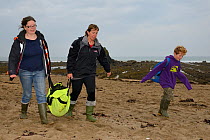 British Divers Marine Life Rescue animal medics Michelle Clement and Rachel Shorland carrying a very weak, injured, grey seal pup (Halichoerus grypus) 'Jenga', in a bag after rescuing it from a beach,...
