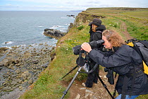 Sue Sayer and Kate Hockley of the Cornwall Seal Group watching Grey seals (Halichoerus grypus) from a cliff top to identify the seals. Cornwall, UK, June.