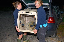 Tamara Cooper and Reychell Harris carrying sick, injured Grey seal pup (Halichoerus grypus) 'Boggle', in travel crate at the Cornish Seal Sanctuary.  Gweek, Cornwall, UK, October. Model released.