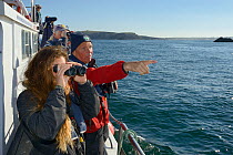 Polzeath Marine Conservation Group members recording cetaceans and seals off the Cornish coast, as Sue Sayer of the Cornwall Seal Group photographs Grey seals (Halichoerus grypus) to build a portfolio...