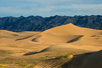 Khongor sand dunes, Govi Gurvan Saikhan National park,  Gobi desert, South Mongolia. June 2015.