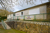 Seal hospital where injured Grey seal pups (Halichoerus grypus) are treated for injuries and illness after being rescued, Cornish Seal Sanctuary, Gweek, Cornwall, UK, January.