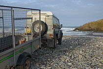 Rescued Grey seal pup (Halichoerus grypus) in trailer about to be released, after recovering from its injuries through treatment and rehabilitation at the Cornish Seal Sanctuary, North Cornwall, UK, J...