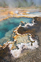 Boiling Cauldron Geyser and scalloped edges of geyserite, Western Group of Shoshone Geyser Basin, Yellowstone National Park, Wyoming, USA, August.