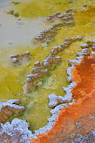 Sinter formations in a thermal pool, Shoshone Geyser Basin, Yellowstone National Park, Wyoming, USA, August 2015.