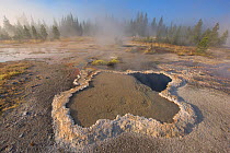 Lily flower shaped Fleur de Lis Spring, in the Orion Group of Geysers, Shoshone Geyser Basin, Yellowstone National Park, Wyoming, USA, August 2015.