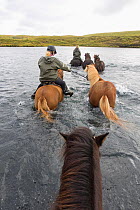 Horseback riders riding Icelandic horses across river, Iceland, August 2014.