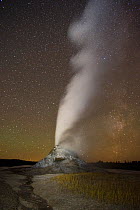 Night eruption of White Dome Geyser with the Milky Way.  Yellowstone National Park, Wyoming, USA, October 2015.