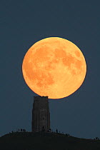 Super moon rising behind Glastonbury Tor with people watching, Somerset, England, UK, 27th September 2015.