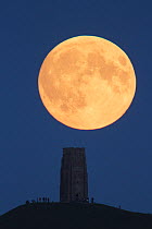 Super moon rising above Glastonbury Tor with people watching, Somerset, England, UK, 27th September 2015.