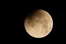 Lunar eclipse of a super moon, Glastonbury, Somerset, England, UK, 28th September 2015, Sequence 1/7.