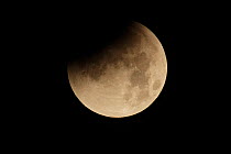 Lunar eclipse of a super moon, Glastonbury, Somerset, England, UK, 28th September 2015, Sequence 2/7.