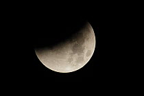 Lunar eclipse of a super moon, Glastonbury, Somerset, England, UK, 28th September 2015, Sequence 3/7.