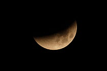 Lunar eclipse of a super moon, Glastonbury, Somerset, England, UK, 28th September 2015, Sequence 4/7.