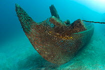 Bio-rock, method of enhancing the growth of corals and aquatic organisms, metal covering a wooden boat wreck, Desa Pemuteran, Bali Island, Indonesia, Pacific Ocean