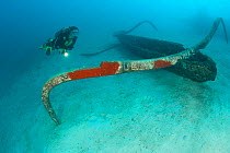 Scuba diver and trigger boat wreck, dive site of Reef Seen Aquatics, Desa Pemuteran, Bali Island, Indonesia, Pacific Ocean. September 2006.