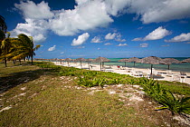 Sandy beach with palm trees at Club Amigo Caracol Hotel, Santa Lucia, Camaguey, Cuba, Caribbean Sea, Atlantic Ocean