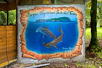 Painting of Hammerhead shark, Wafer Bay ranger station, Chatham Bay, Cocos Island National Park, Costa Rica, East Pacific Ocean. September 2012.