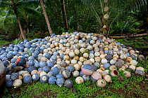 Nets, hooks and buoys confiscated from poachers, Wafer Bay ranger station, Chatham Bay, Cocos Island National Park, Costa Rica, East Pacific Ocean. September 2012.