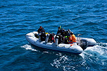 Zodiac with divers leaving the M. Y. Galapagos Aggressor 1 liveaboard, North Seymour Island, Galapagos Islands,  East Pacific Ocean