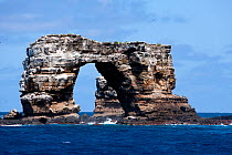 Darwin's Arch, a dramatic 50-foot tall natural lava arch,  offshore of Darwin Island, Galapagos Islands, East Pacific Ocean