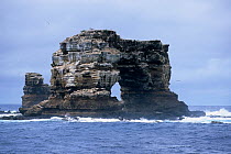 Darwin's Arch, a dramatic 50-foot tall natural lava arch, rises above the ocean a short distance offshore of Darwin Island, Galapagos Islands, East Pacific Ocean.