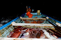 Mexican fisherman with Humboldt squid (Dosidicus gigas) catch, hand caught at night off Santa Rosalia, Sea of Cortez, Baja California, Mexico, East Pacific Ocean. August 2007.