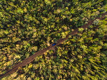 Aerial view of road in spiny forest containing Octopus trees (Didiera madagascariensis) Berenty, Madagascar, October 2015.