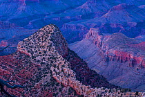 Ridge in the Grand Canyon, Grand Canyon National Park, Arizona, USA, February 2015.