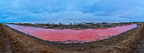 Pink water in saltwater lagoon, Walvis Bay, Namibia, June 2015.