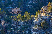 Ancient cliff dwelling rooms in rock face, Walnut Canyon National Monument, Flagstaff, Arizona, USA, February 2015.