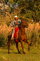 Peone or cowboy riding his Pantaneiro stallion, Pantanal, Mato Grosso do Sul, Brazil. August.