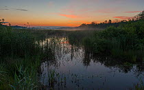 Wetlands at  night in midsummer, with light from midnight sunset, Parikkala, Finland, June.
