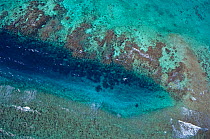 Aerial view of La Poza or the Tarpon Hole, Xkalac Reefs National Park, Caribbean Sea, Mesoamerican Reef System, Mexico, January