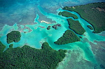 Aerial view of Red mangrove (Rhizophora mangle) coastal lagoon, Sian Ka'an Biosphere Reserve, Caribbean Sea, Mexico, January