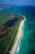 Aerial view of coastal lagoon and barrier reef, Sian Ka'an Biosphere Reserve, Caribbean Sea, Mesoamerican Reef System, Mexico, January